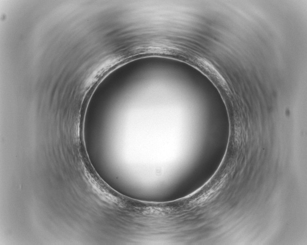 X0000088220938200705151410