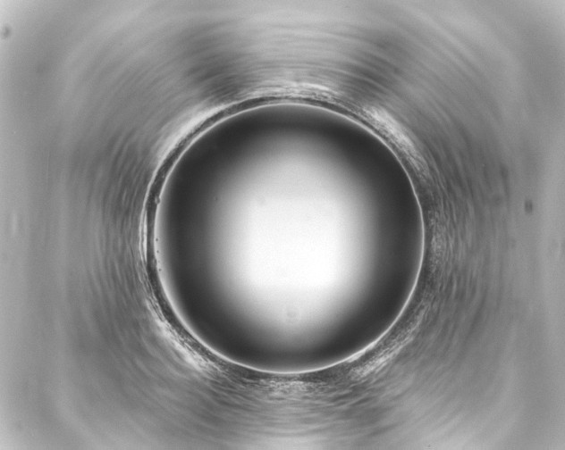 X0000088220940200705151410