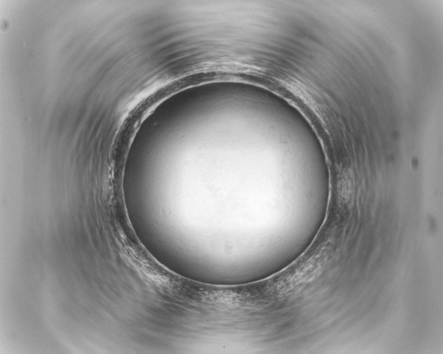X0000088220971200705151409
