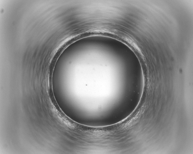 X0000088220984200705151409