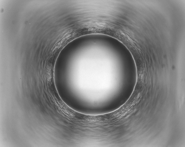 X0000088221012200705151408