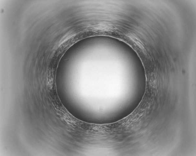 X0000088221015200705151408