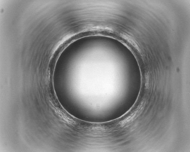 X0000088221021200705151408