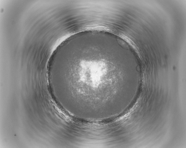 X0000088221022200705151408