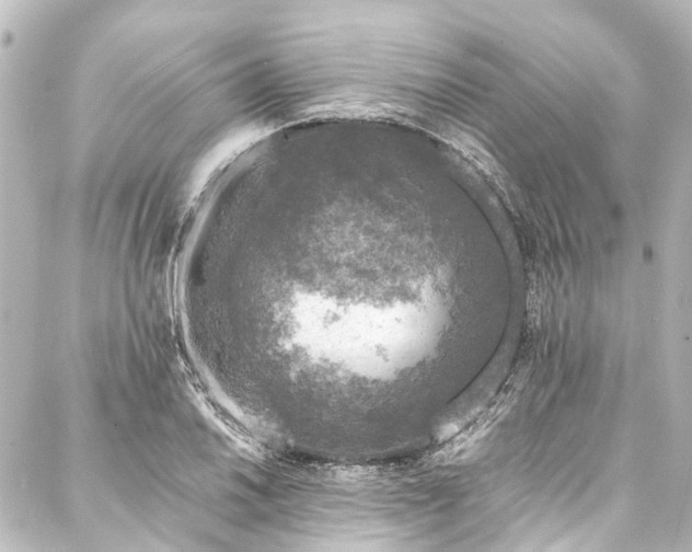 X0000088221030200705151408