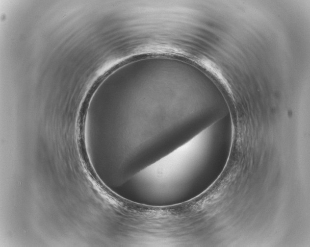 X0000088221037200705151408
