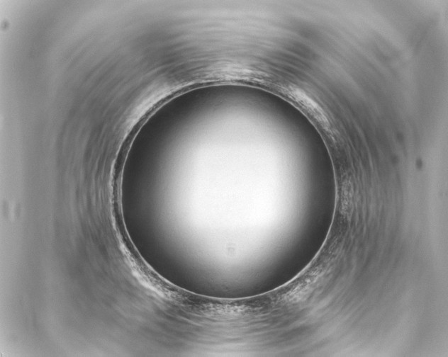 X0000088221039200705151408