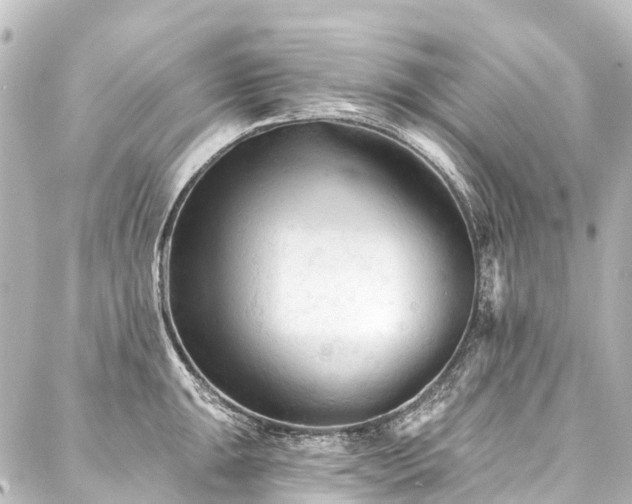 X0000088221047200705151408