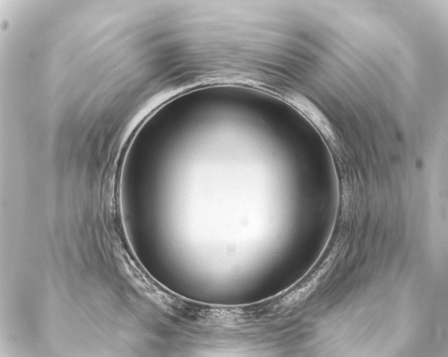 X0000088221052200705151408