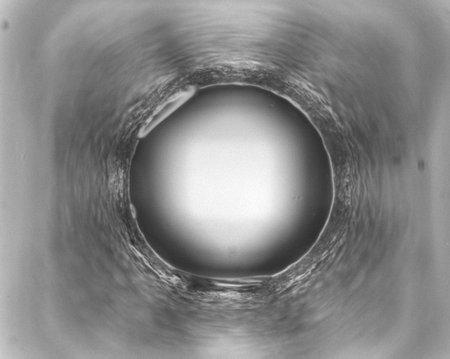X0000088221061200705151408