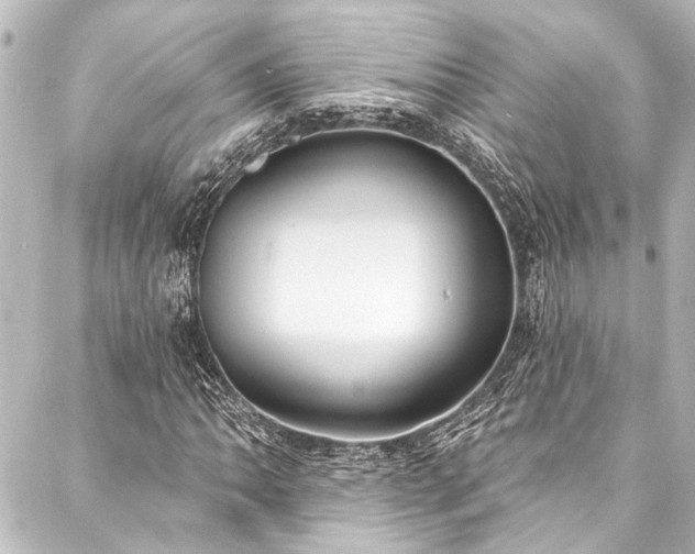 X0000088221062200705151408
