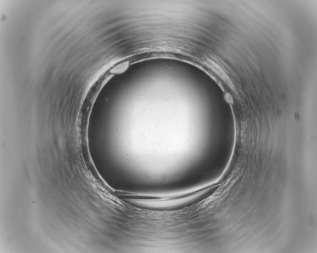 X0000088221068200705151407