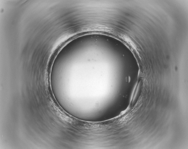 X0000088221072200705151407