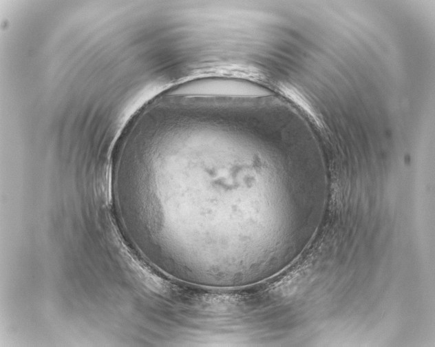 X0000088221079200705151407