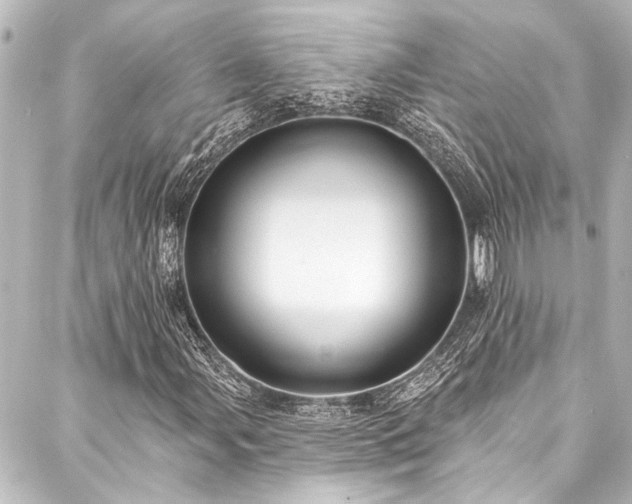X0000088221107200705151406
