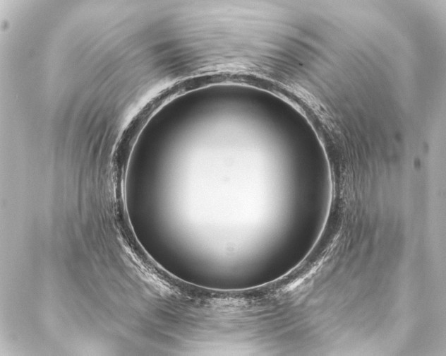 X0000088221118200705151406