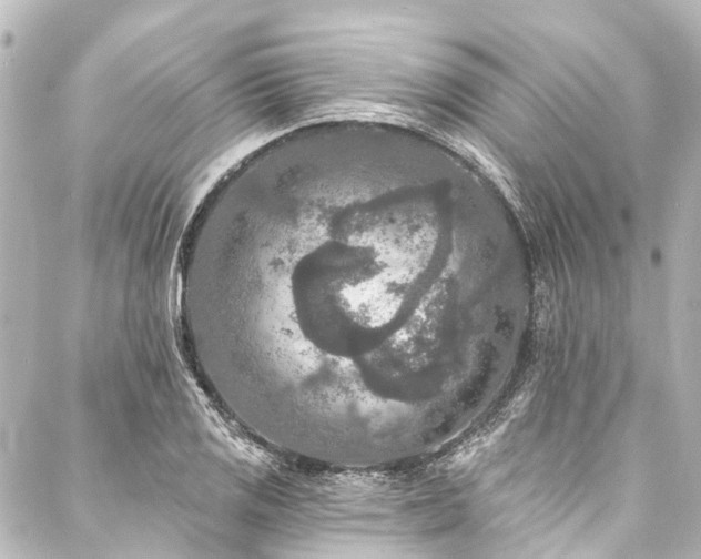 X0000088221125200705151406