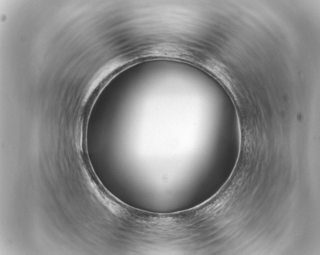 X0000088221131200705151406