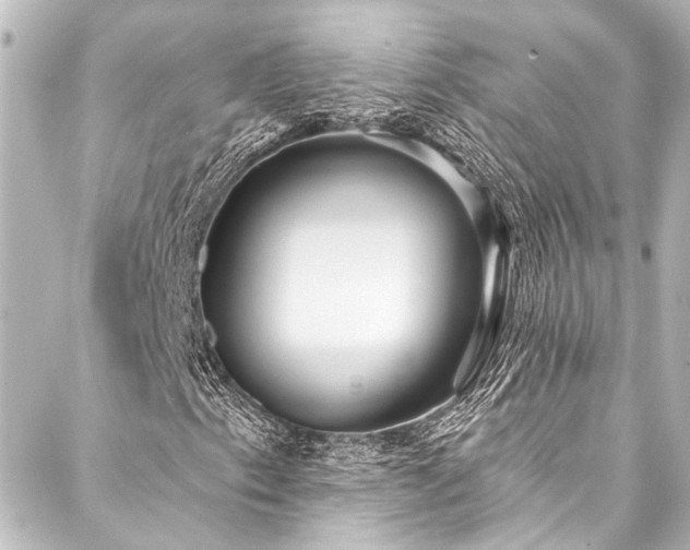 X0000088221153200705151406