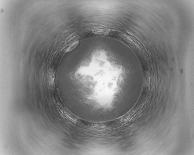 X0000088221154200705151406
