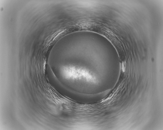 X0000088221155200705151406