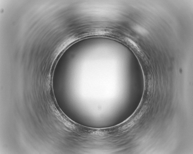 X0000088221178200705151406
