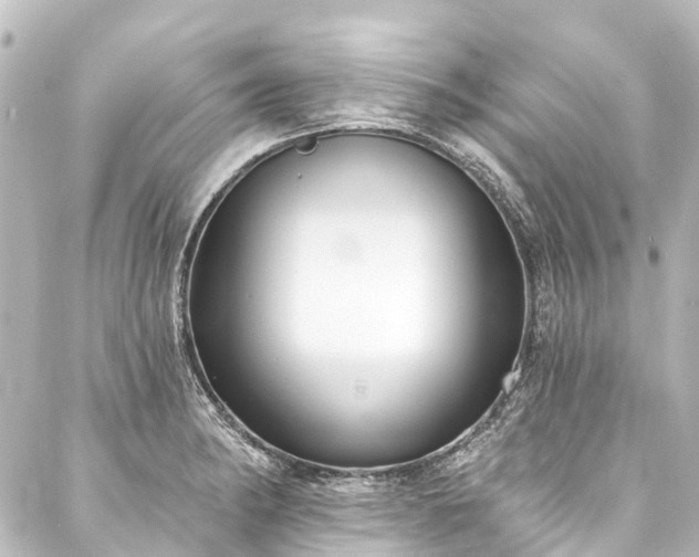 X0000088221182200705151406