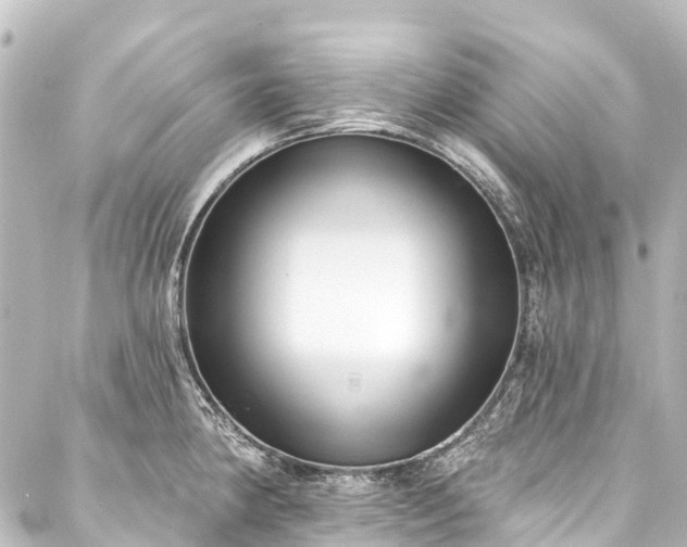 X0000088221190200705151405