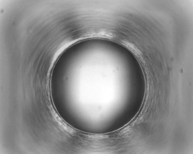 X0000088221200200705151405