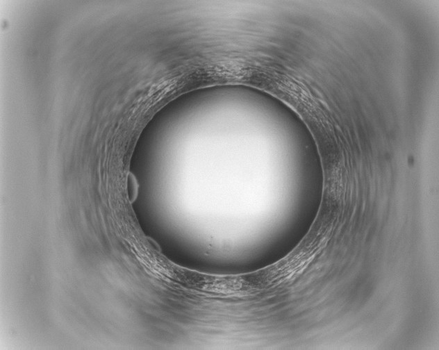 X0000088221201200705151405