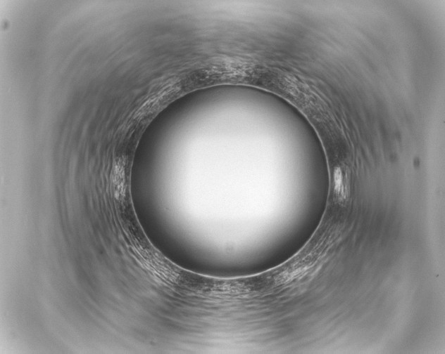 X0000088221203200705151405