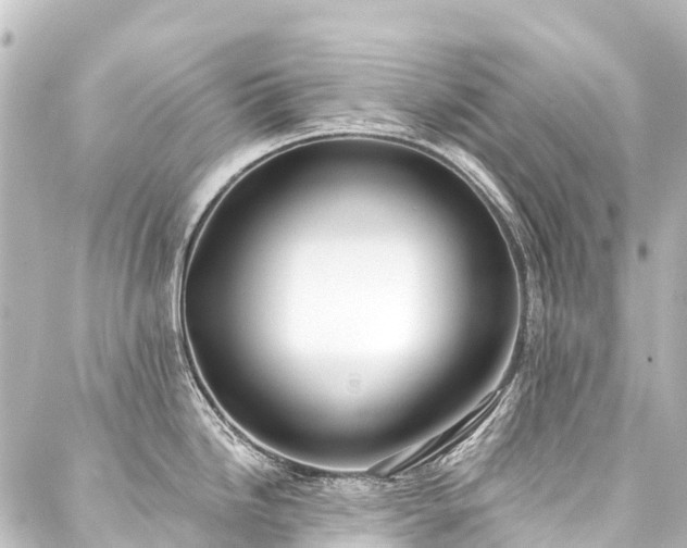 X0000088221246200705151405