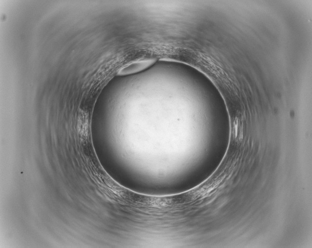 X0000088221251200705151404