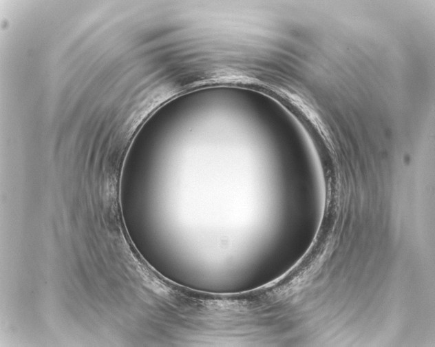 X0000088221281200705151404