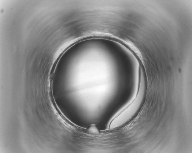 X0000088221287200705151404