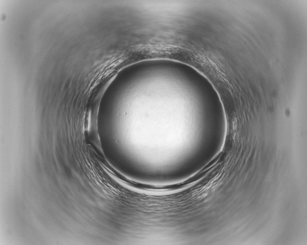 X0000088221300200705151403