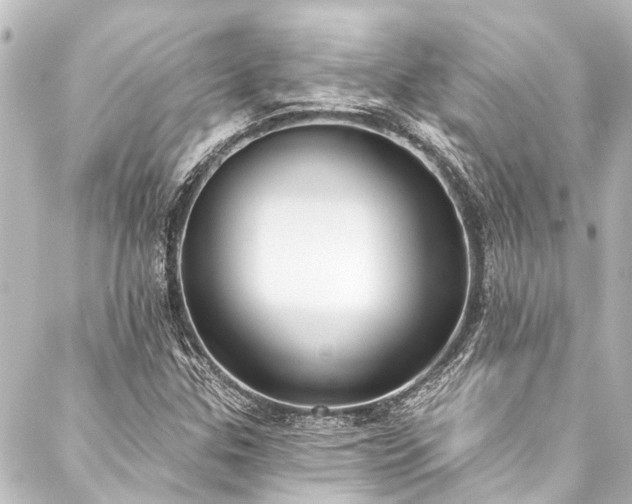 X0000088221307200705151403