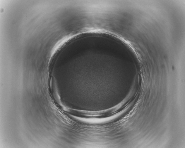 X0000088221319200705151403