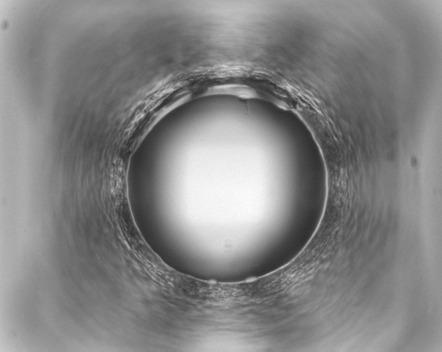 X0000088221349200705151403