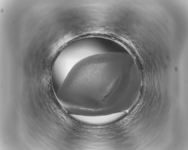 X0000088221359200705151403