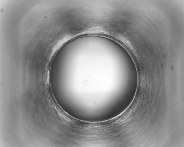 X0000088221366200705151403