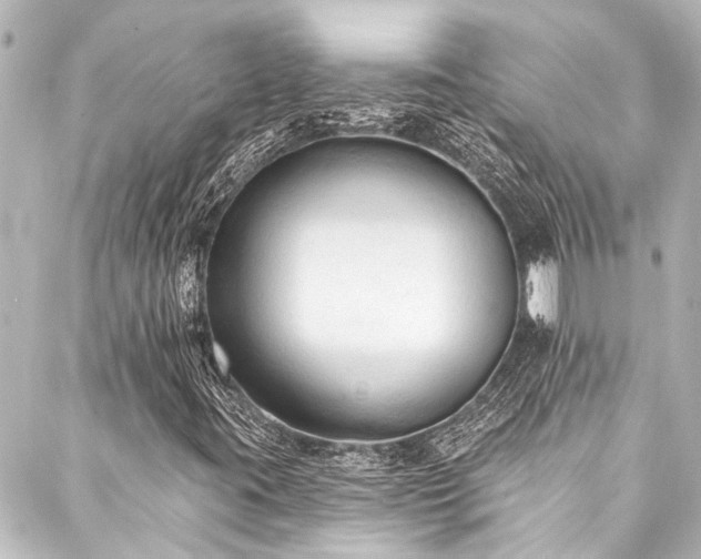 X0000088221395200705151401