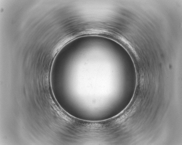 X0000088221417200705151402