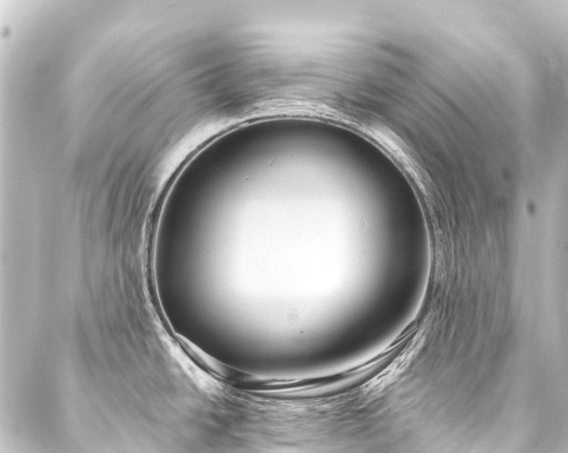 X0000088221438200705151402