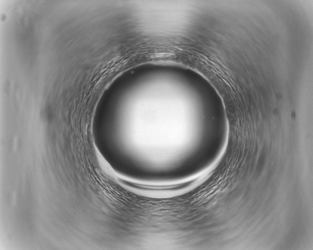 X0000088221441200705151401