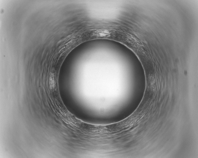 X0000088221442200705151401