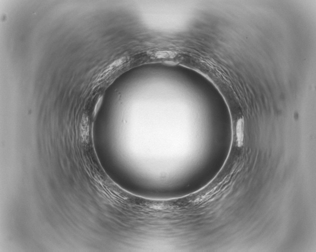 X0000088221443200705151401