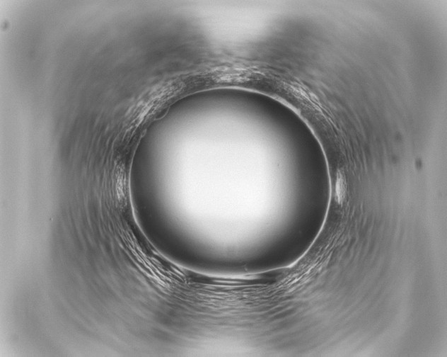 X0000088221444200705151401