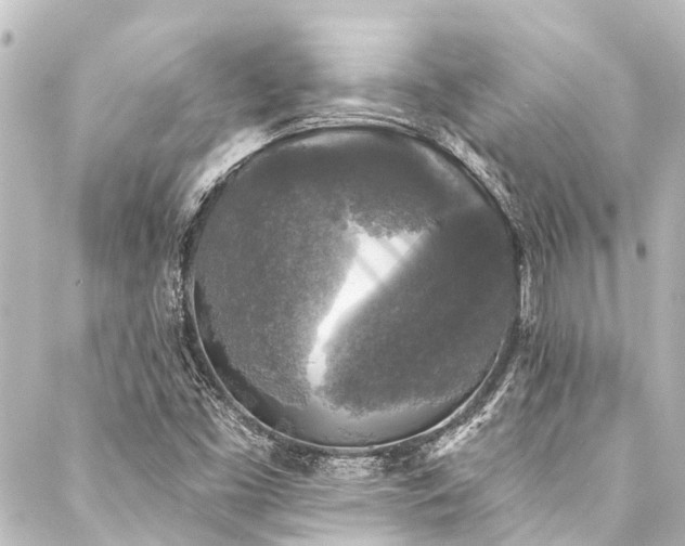 X0000088221453200705151401