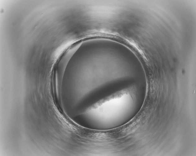X0000088221463200705151401